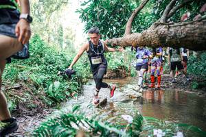 BIB: 
                            <button type="button" onclick="openModal(25516055)" class="btn btn-primary btn-sm float-right btn-popup" data-toggle="modal" data-target=".modal-high-quality">
                        <i class="fas fa-shopping-cart"></i> Add to Cart
                    </button>
                                            <button type="button" onclick="isThisMe(25516055, true)" class="btn btn-success btn-sm float-right btn-popup btn-isme hidden" data-toggle="tooltip" data-placement="bottom" title="นี่คือรูปของคุณใช่ไหม คลิกที่นี่เพื่อเอาเข้าอัลบั้ม">
                        <i class="fas fa-plus"></i> Add to album
                    </button>
                    <button type="button" onclick="isThisMe(25516055, false)" class="btn btn-warning btn-sm float-right btn-popup btn-isnotme hidden">
                        <i class="fas fa-ban"></i> Remove from album
                    </button>